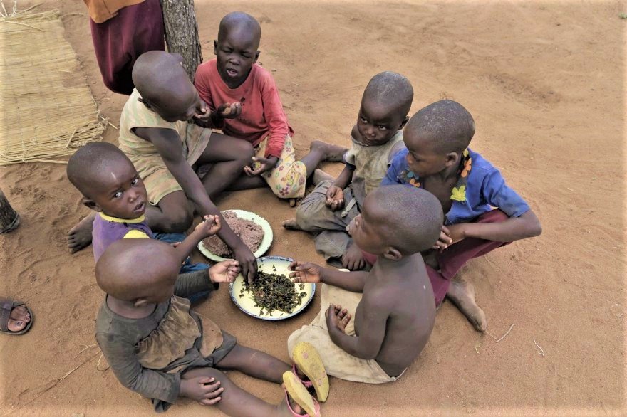 Children eating sadza and vegetables. Credits: World Food Program/Aaron Ufumeli
